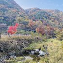 금대에코힐링캠핑장(주차장) 이미지