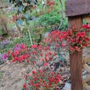 온수 농장 이미지