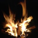 금물산하늘소캠프 이미지