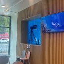 중도일보 | 프리다이빙 방송 촬영 | 중도일보 | 대전 너의바다와 트레이닝하며 방송 촬영 하고 왔어요