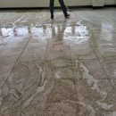 부산식당 이미지