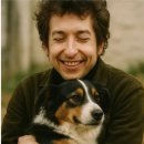 도그토피아 이미지