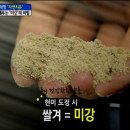 미강 이미지