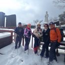 산들바람 이미지