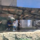 금강빌리지 | 대구 토이빌리지 대구혁신점 실내동물원, 아쿠아리움, 키즈카페가 한 곳에