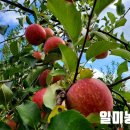 일미농원 이미지