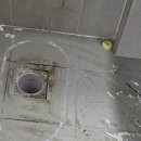 세교 부영1차 이미지