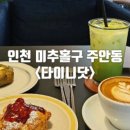 타이니닷(Tiny dot) 이미지