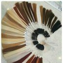 썬뷰티헤어 이미지