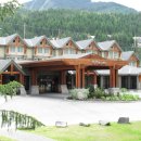 아바(AAVA) 이미지