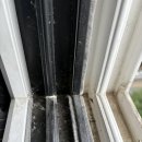 햇빛헤어 이미지