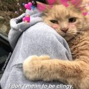 HEY