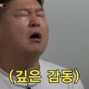 생마차고양