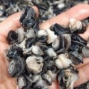 조은식품 이미지