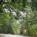 흙둥지 | 포천 계곡 캠핑장 아버지의 숲 산정 캠프 | 딱따구리 둥지 3 후기