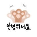 드라이브 in 콘서트 네이버블로그