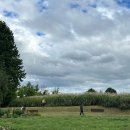 억새풀농장 이미지