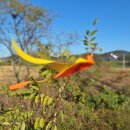 농어촌버스정류장 옆 이미지