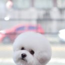 별찌몽 이미지
