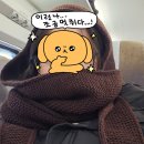 슈퍼뜨개방 | 소피 후드 뜨기 후기/헤라 순모/초보 팁