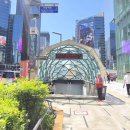 강남역성형외과 요즘 가장 핫한 스킨부스터, 내돈내산 리투오 시술 솔직후기