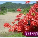 봄뜰에농장 이미지