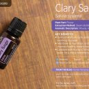 (주)세이지 이미지