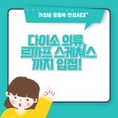 한국의류 | “다이소 의류 브랜드 르까프·스케쳐스 입점!