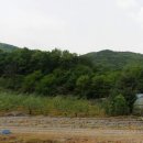 음성군 햇사래복숭아 과수원 창고 주택 반값매매 이미지