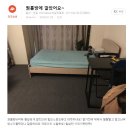 [CH-102] 원룸방에 깔았어요~ - 타일카페트 후기