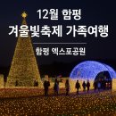 (유)동화택시 | 12월 함평 겨울빛축제 가족여행｜함평 엑스포공원 야간 산책 인생샷 코스 완전 정리