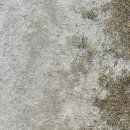 거창대성중학교 이미지