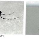 중앙방역공사 이미지