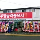 경북농약종묘사 이미지