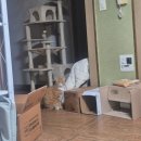 월광수변공원 버스킹 | 열심히 살자2