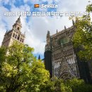 입장-03 | 스페인 세비야 대성당 입장 예약방법 할인 히랄다 타워 올라가본 후기