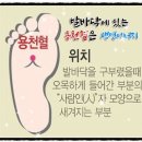 생명에너지 이미지