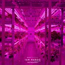 대류농장 이미지