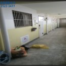 덕진-103 이미지