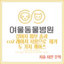 여울케이스