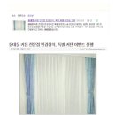 시장장식커텐 이미지