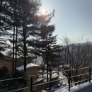 스테이 태정93 이미지