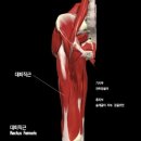 [ #전문가 ] 박규리 원장 / 지역 서대문구 대현동 / 소속 : 에스테라 / ESM패널인증 분야 : 피부/미용 이미지