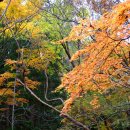 입암주유소 | 장성 입암산 단풍에 마음을 내려 놓다(14.11. 8)