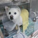 정메디칼 이미지