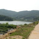 안성다목적야영장 이미지