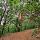 성민인터내셔날 이미지