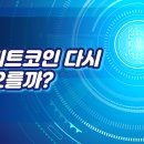 상원전자 | 비트코인 가격 전망에 CLARITY 법안 상원 표결이 중요한 이유 3가지