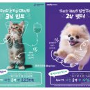 나우동물의료센터 이미지