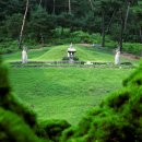 수원-1411 이미지